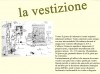 VIGNETTA 7